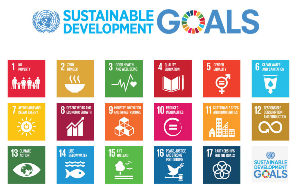 what-have-the-un-millennium-development-goals-achieved-what-s-next