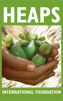 HEAPS International Logo